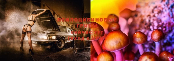 экстази Баксан