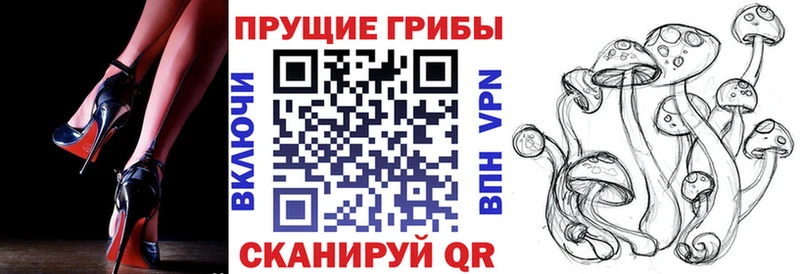 Псилоцибиновые грибы мицелий  Вихоревка 